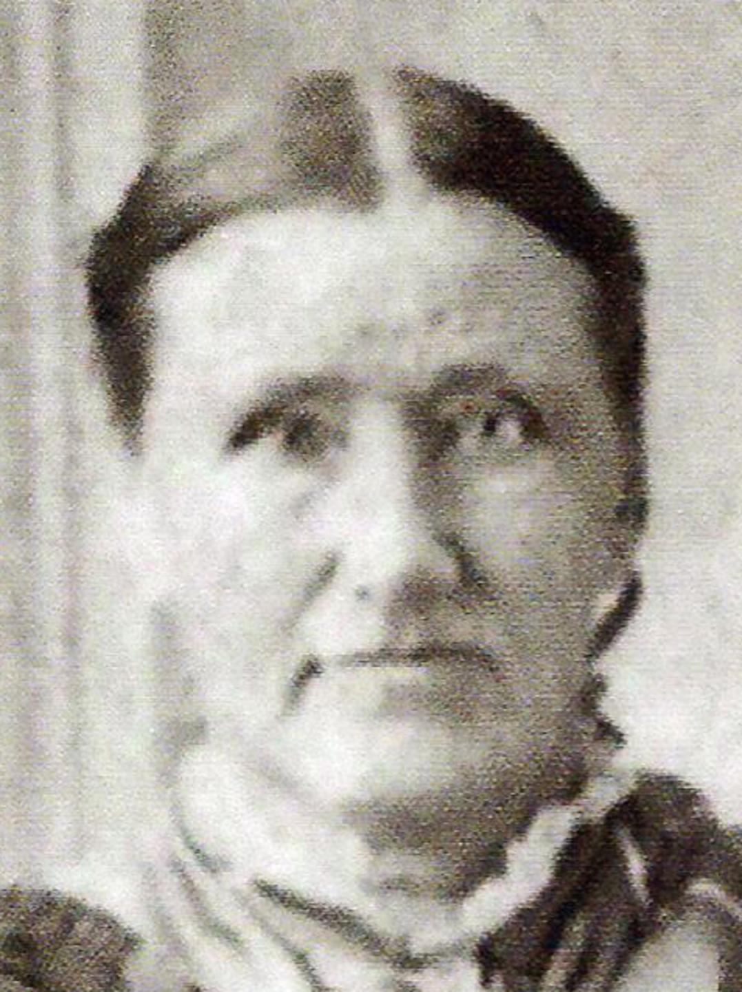 Sarah Johnson (1823 - 1919) Profile